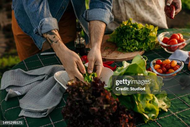 making a fresh organic salad - farm to table stock pictures, royalty-free photos & images