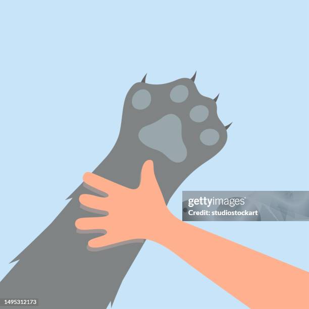 menschliche hand mit pfote - pet adoption stock-grafiken, -clipart, -cartoons und -symbole