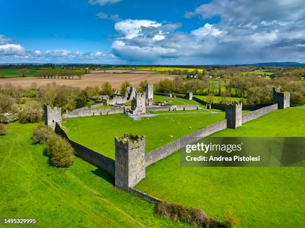 Castle (in Ruins) — Walterstown (kells Lower By.)