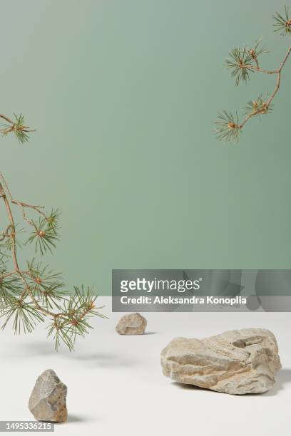 product presentation template with rocks and pine, fir tree branches on  white and mint green background. natural organic stone podium, copy space. - solid perfume stock pictures, royalty-free photos & images
