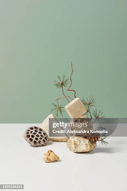 abstract balanced composition of beige stones, and pine tree branches, dried lotus flower and pine cone on pastel colored mint green and white 3d background. copy space, front view. - mint green stock pictures, royalty-free photos & images
