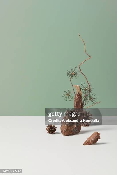 creative zen-like composition of brown stones with curvy pine tree branches and pine cones on white and mint green background. front view, copy space. - solid perfume stock pictures, royalty-free photos & images