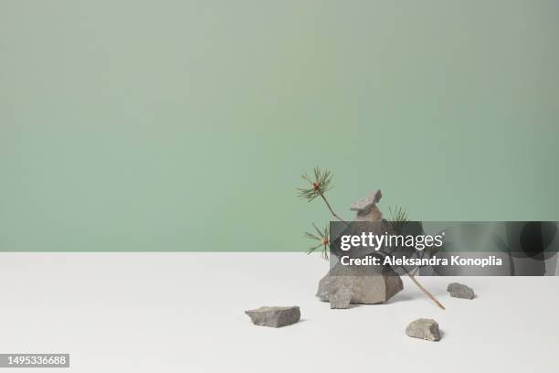 zen-like composition of ray rocks and pine tree branch on pastel colored mint green and white 3d background. copy space. - teal stock pictures, royalty-free photos & images