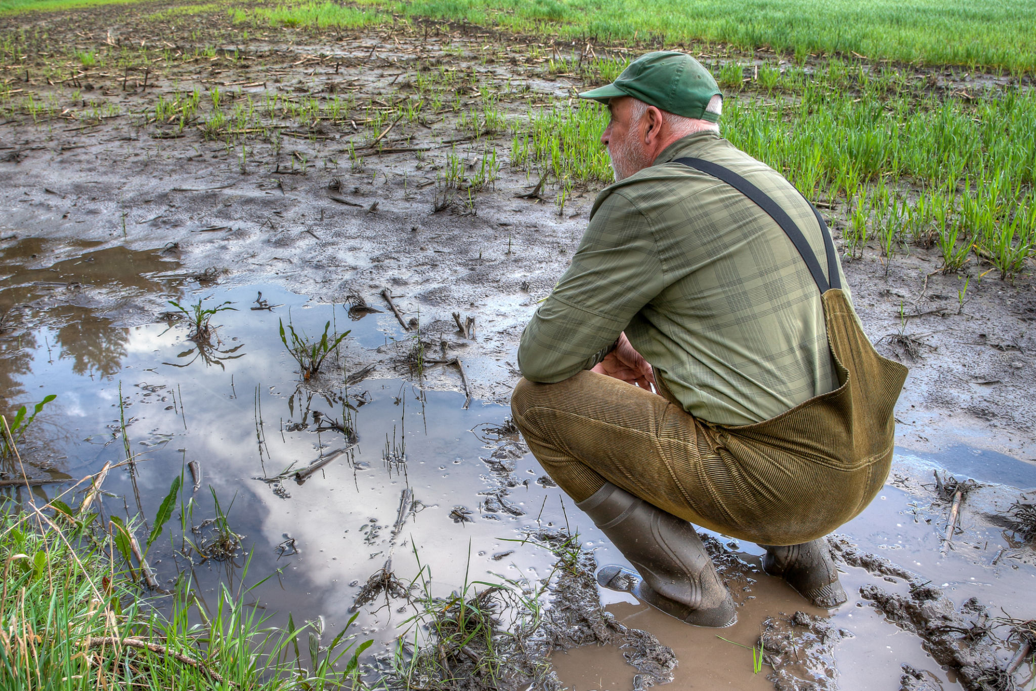 Reflective farmer, contemplating his Rain-Drenched Grain Field. Reflective farmer, contemplating his Rain-Drenched Grain Field.