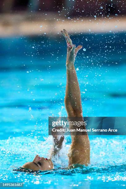 Michelle Ritter Swim Michelle Manuel Photos and Premium High Res Pictures - Getty Images