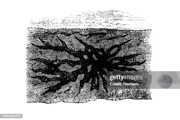 fissures under the surface - below the surface stock illustrations