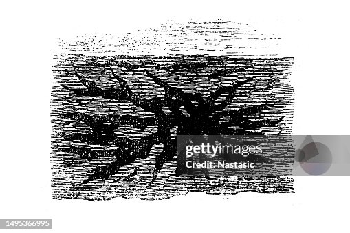 Fissures under the surface Fissures under the surface