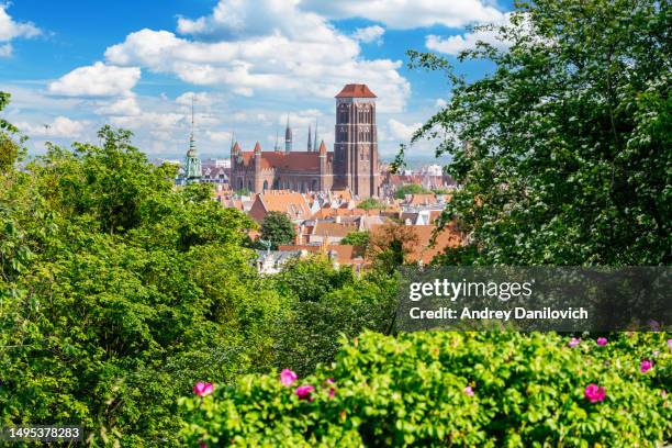 gdansk old town view (główne miasto district) from góra gradowa: st. mary's basilica in the center. - pomorskie province stock pictures, royalty-free photos & images