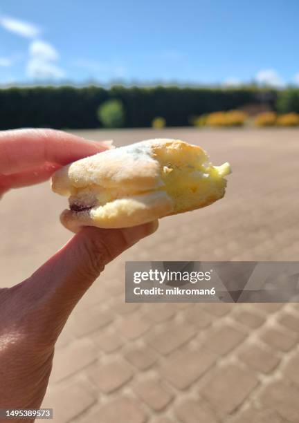 hand holding biscuit cake with cream - creme eggs stock pictures, royalty-free photos & images