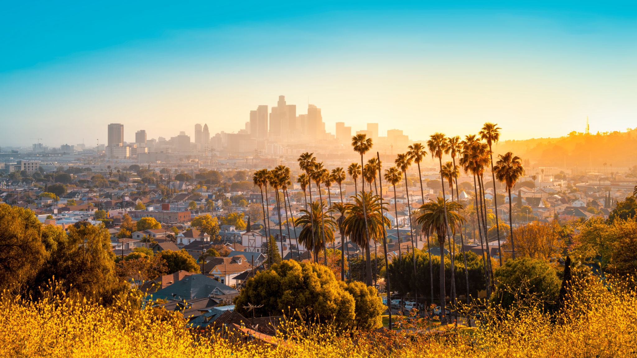 sunny day los angeles