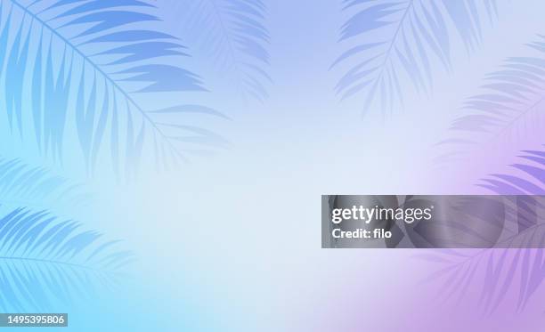 summer misty palm leaf abstract gradient background - exotic travel destinations stock illustrations