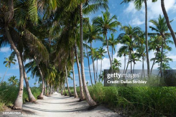 Alif Alif Atoll Photos and Premium High Res Pictures Getty Images