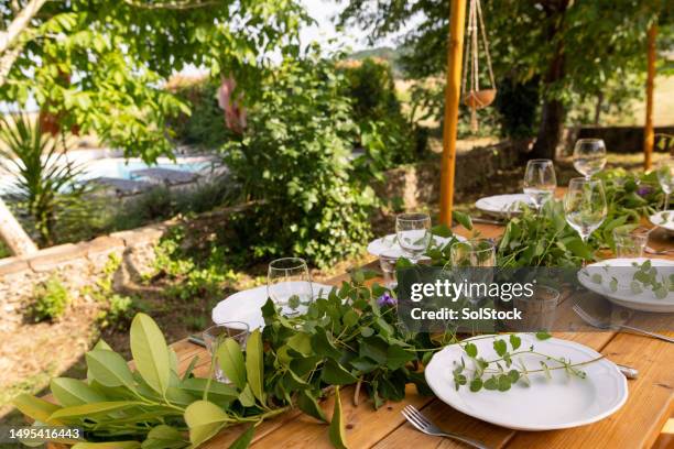 setting the table - midi pyrenees stock pictures, royalty-free photos & images