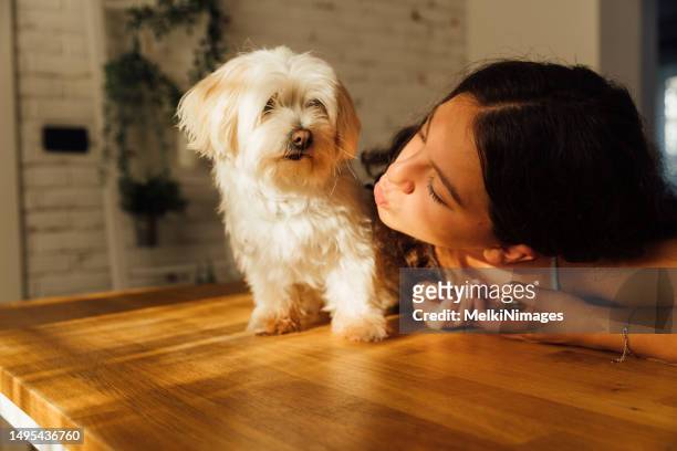 teenage girl kissing her dog and showing him her love - hairy girl 個照片及圖片檔