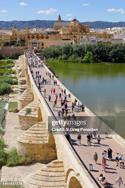 roman bridge - cordoba - spain - cordoba stockfoto's en -beelden