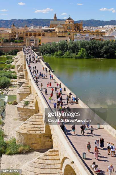 roman bridge - cordoba - spain - córdoba stock pictures, royalty-free photos & images