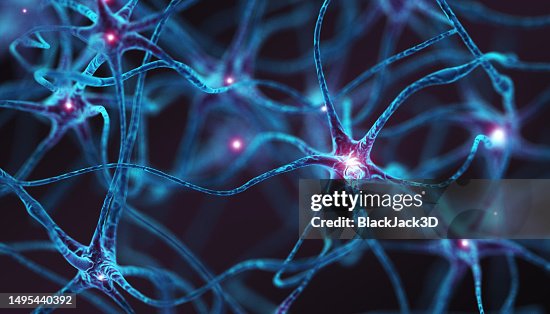 Neurons - Concept Neurons - Concept