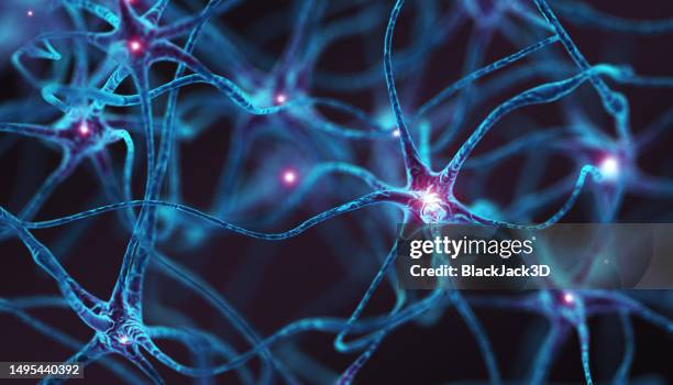 neurons - concept - human brain stock pictures, royalty-free photos & images