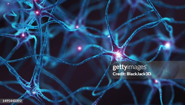 neurons - concept - neurologia imagens e fotografias de stock