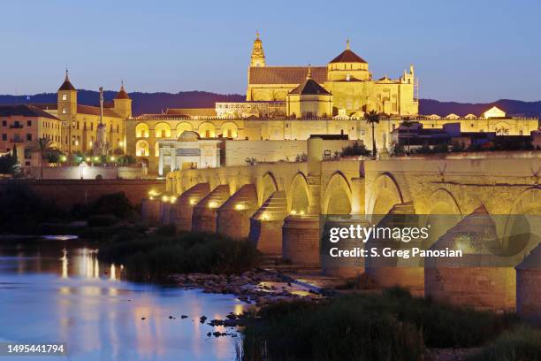 cordoba skyline  - spain - puente romano stock pictures, royalty-free photos & images
