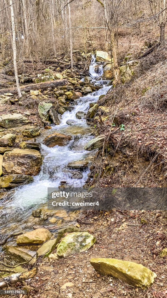 Amicalola Falls - Dawsonville, Geórgia
