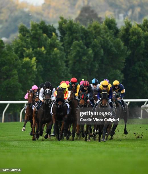 Celine Gaudray riding Disturbia leads the field into the home straight in Race 5, the Rch Staff Appreciation Plate, during Melbourne Racing at...