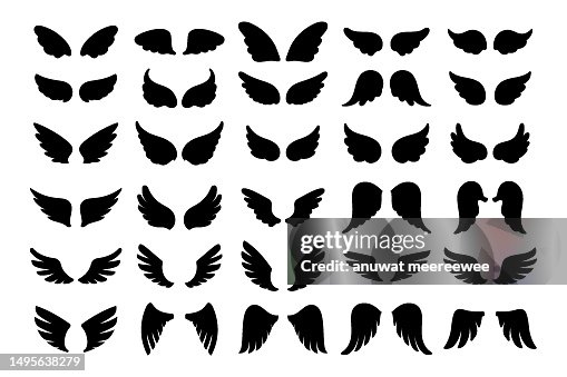 Feather Wing Patterns Angel Wings In Heaven Hawk Feather Wing Pattern High-Res Vector Graphic ...