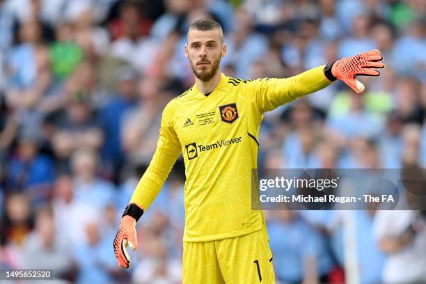 David De Gea of Manchester United gestures during the Emirates FA Cup Final between Manchester City and Manchester United at Wembley Stadium on June...