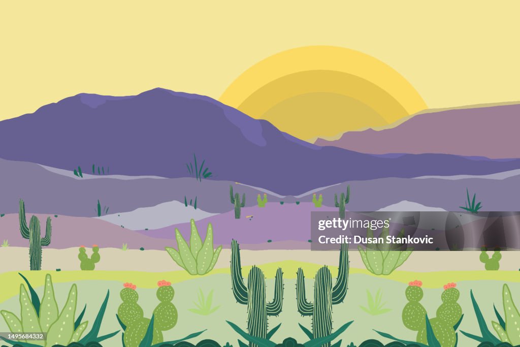 When the sun set in the desert