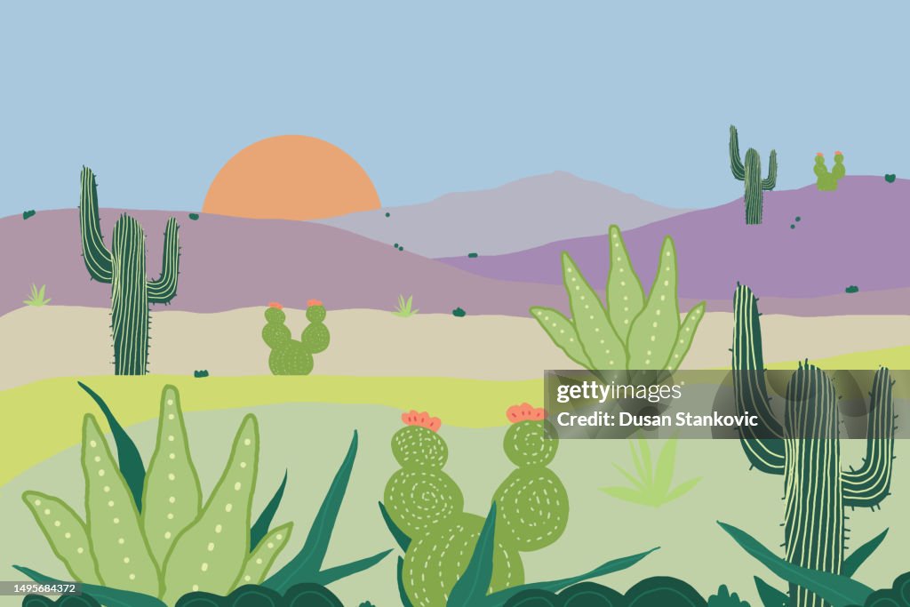 遥か彼方砂漠の夕日