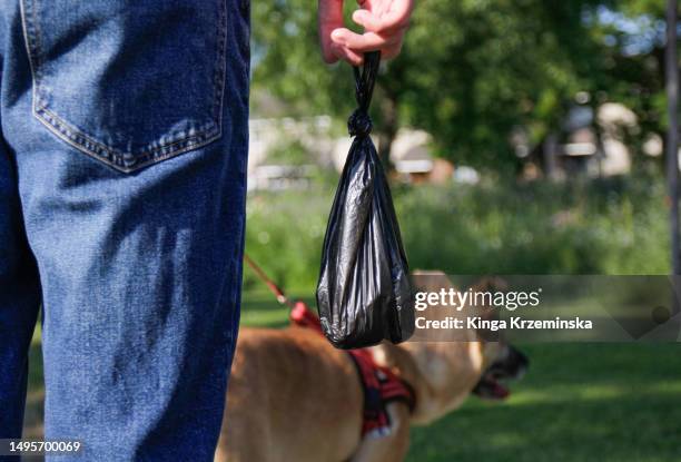 poop bag - lift stock pictures, royalty-free photos & images