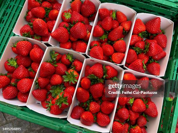 strawberries in paper box at street market - puesto de mercado agrícola fotografías e imágenes de stock