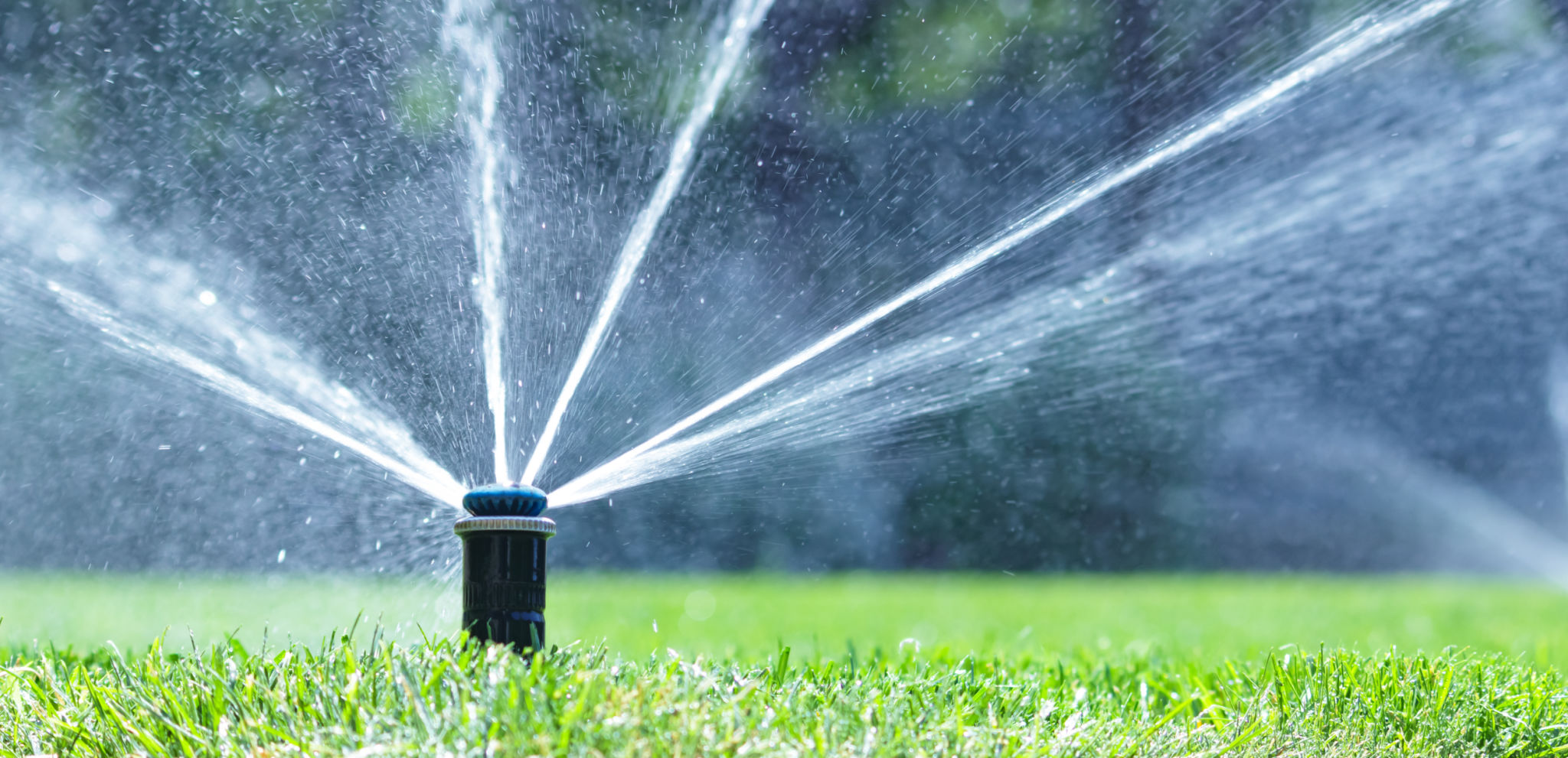Irrigation system in home garden. Automatic lawn sprinkler watering green grass. Selective focus. Irrigation system in home garden. Automatic lawn sprinkler watering green grass. Selective focus.