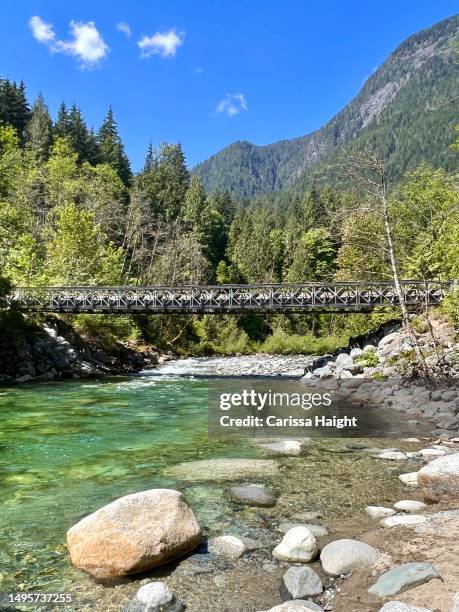 bridge over water - v canada stock pictures, royalty-free photos & images