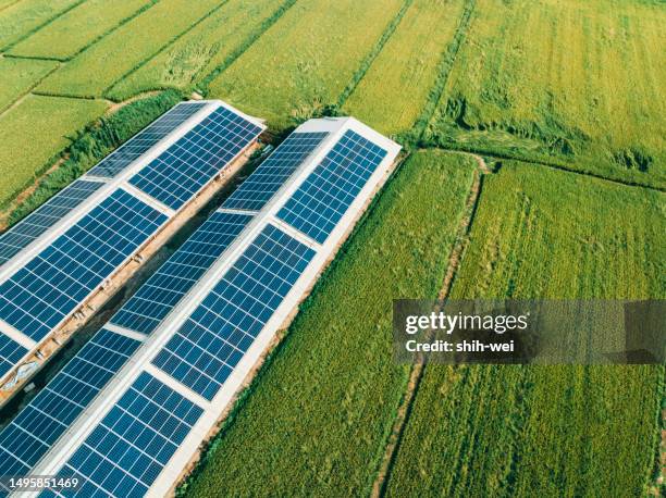 vue aérienne de panneaux solaires , paysage agricole à taiwan - neutralité carbone photos et images de collection