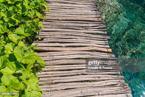 wooden path and lake - plitvice stock-fotos und bilder