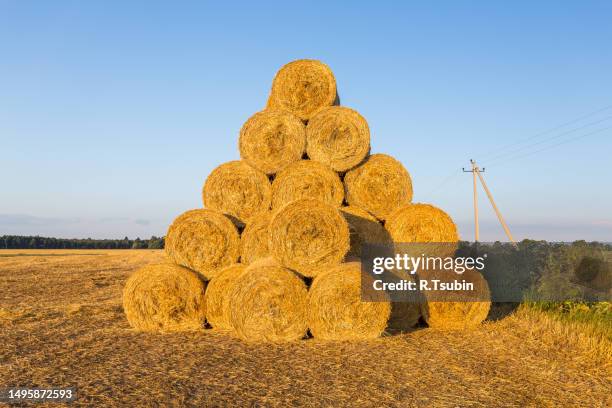 piled hay bales on a field against blue sky - stubble texture stock pictures, royalty-free photos & images