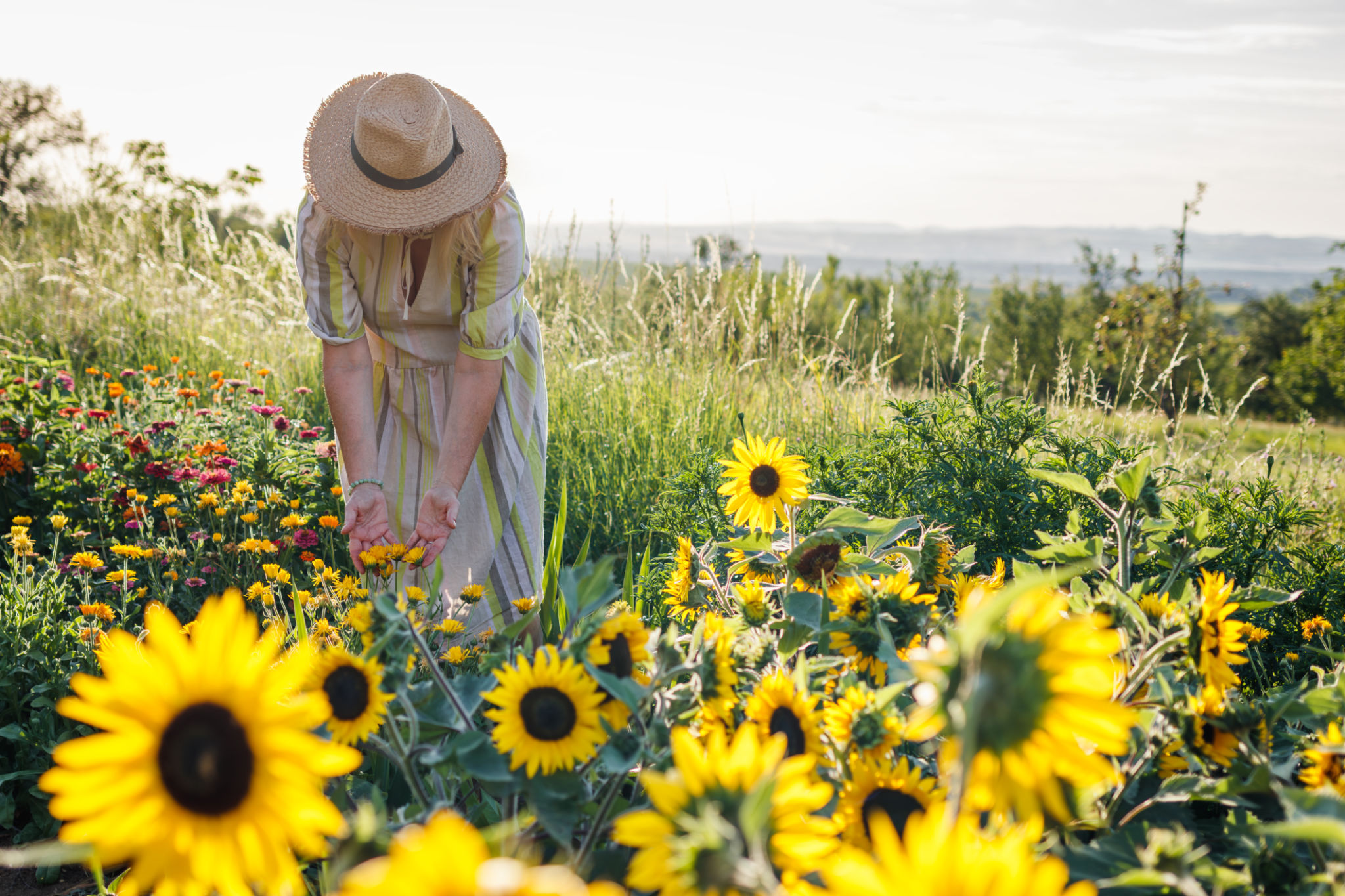 Woman florist standing in marigold flowers at summer garden Woman florist standing in marigold flowers at summer garden