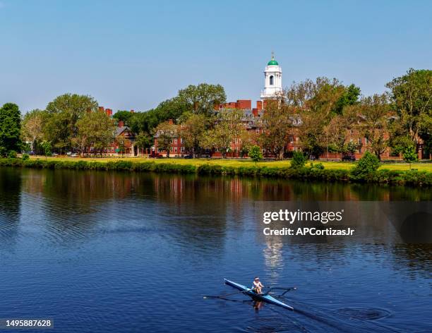 woman rower in a single scull - charles river - harvard university - cambridge massachusetts - cambridge massachusetts stock pictures, royalty-free photos & images