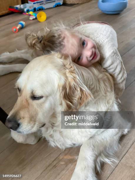 toddler girl with her dog - golden retriever stock pictures, royalty-free photos & images