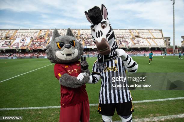 The AS Roma and Juventus FC mascots before the women Coppa Italia 2022/23 final match between Juventus FC and AS Roma at Stadio Arechi on June 04,...