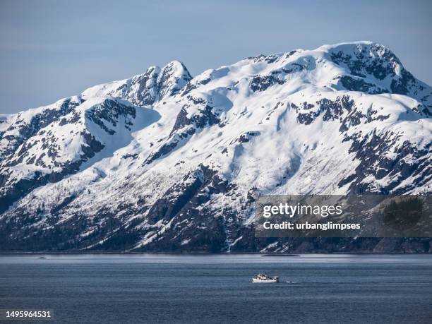 passenger craft traveling through glacier bay national park - alaskische cultuur stockfoto's en -beelden