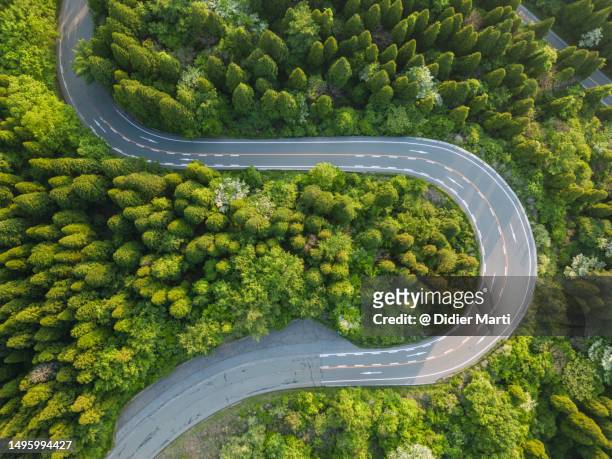 top down view of a road in a forest in japan - country road stock pictures, royalty-free photos & images