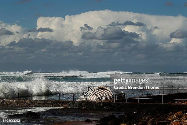 The carcass of a male sub-adult humpback whale washed up at New Port Beach overnight at Newport Beach overnight on August 1, 2012 in Sydney,...