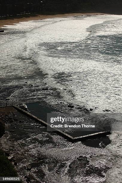 The carcass of a male sub-adult humpback whale washed up at New Port Beach overnight at Newport Beach overnight on August 1, 2012 in Sydney,...