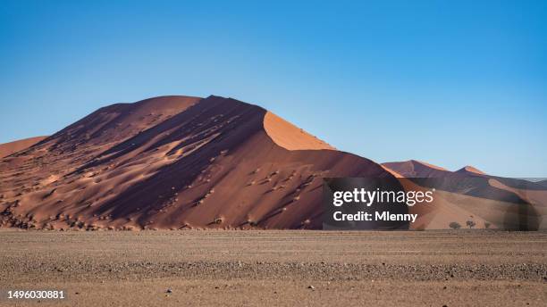 sossusvlei nambia giant desert sand dune sunset light and shadow - namib naukluft national park fotografías e imágenes de stock