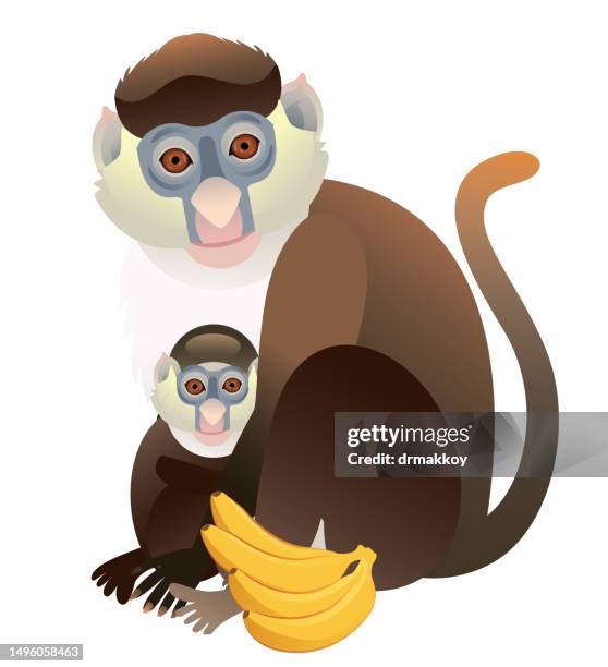 stockillustraties, clipart, cartoons en iconen met red-tailed monkey and cub - mensaap