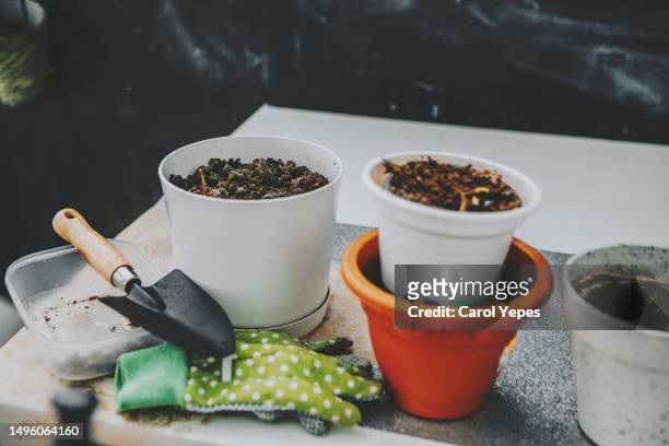 plastic pots full of earth  on table - seed packet stock pictures, royalty-free photos & images