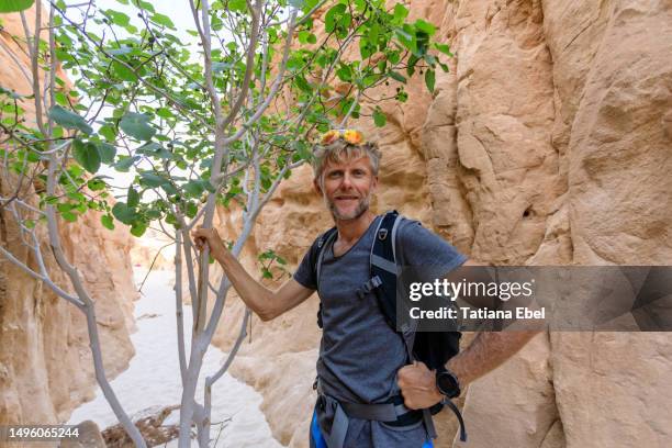 egypt, wadi ghazalla, portrait of a man in desert canyon with a tree - sandal tree stock pictures, royalty-free photos & images