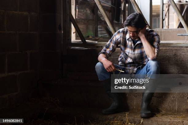 worried about the future of farming - concerned farmers stock pictures, royalty-free photos & images